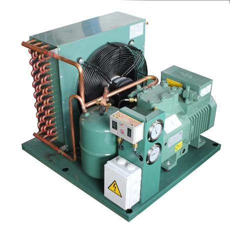 Open type air-cooled condensing unit (Bitzer piston compressor)